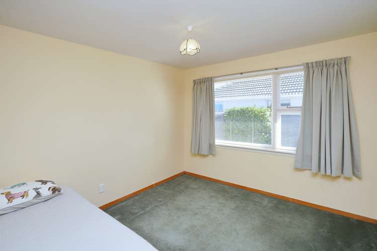 67 Vardon Crescent Shirley_15