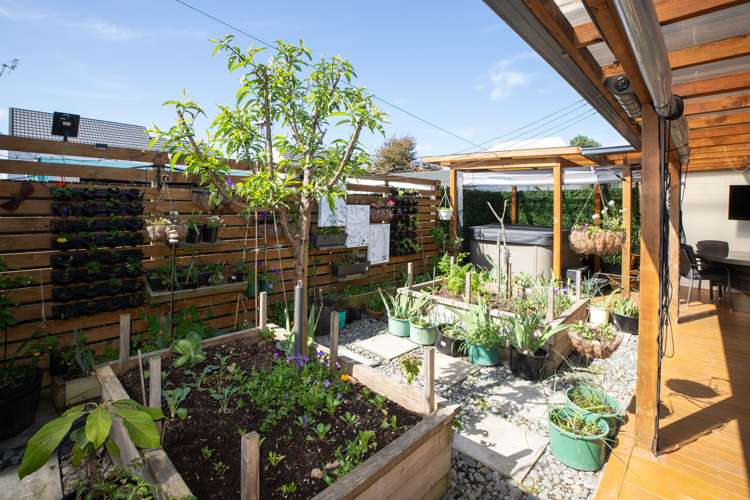 2/188 Hastings Street East Waltham_24