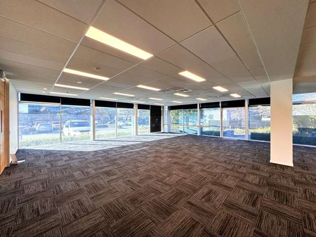 7 Show Place Addington_4