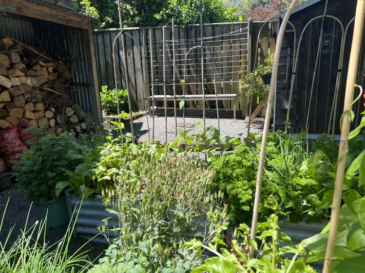 33A Rexwood Street Carterton_35