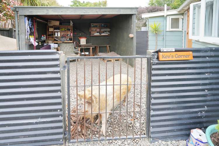 2 Penfold Square Leithfield_11