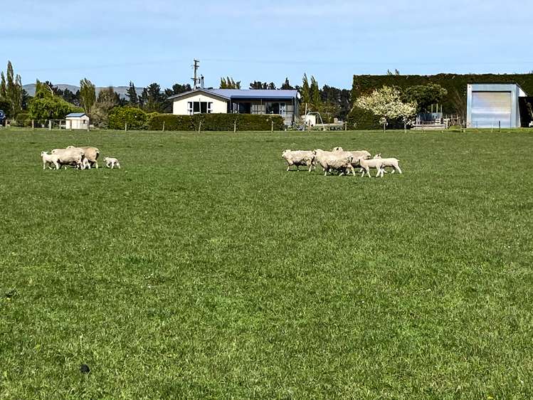 192 Beck Road Balfour_17