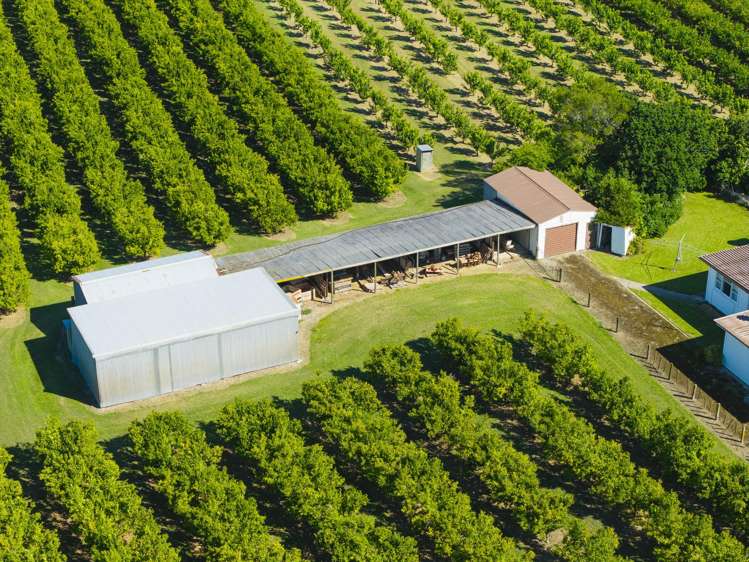 75 Brown Road Ormond_19