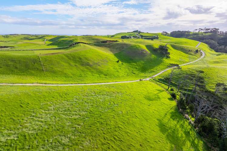 Lots 2, 3 and 4 Mahuta Road Dargaville_13