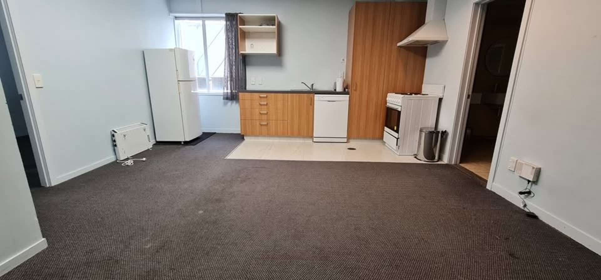  4H/107 Manners Street Te Aro_0