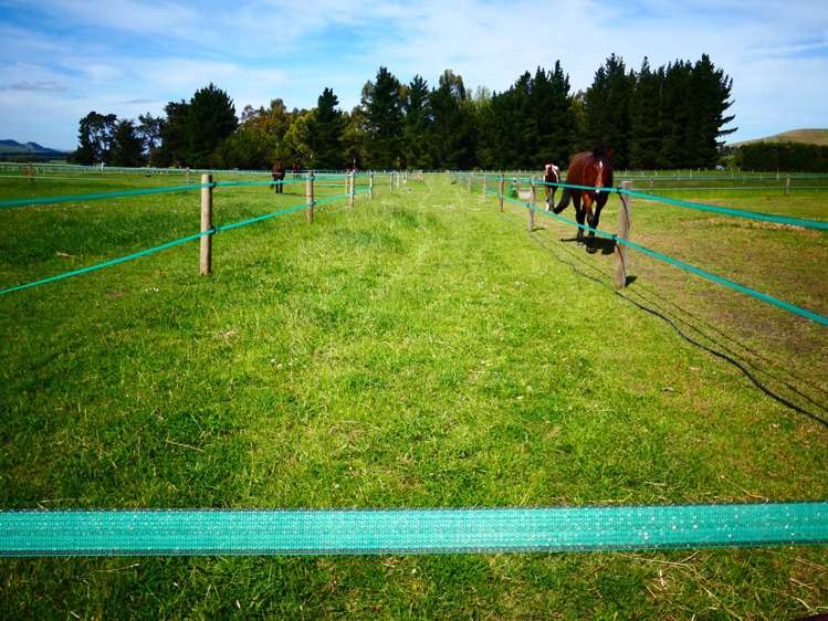 10 Singleton Street Waikari_19