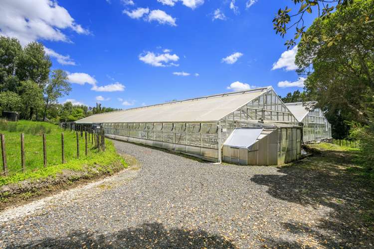 146 Top Road Dairy Flat_11