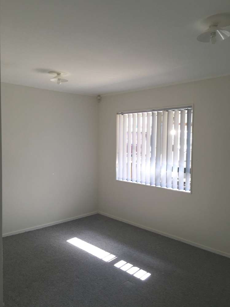 25 Michael Jones Drive Flat Bush_10