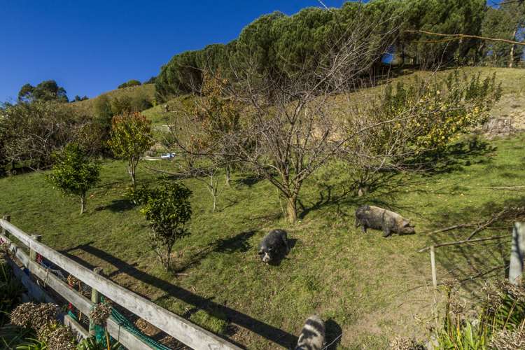 99 Haycock Road Hope_27