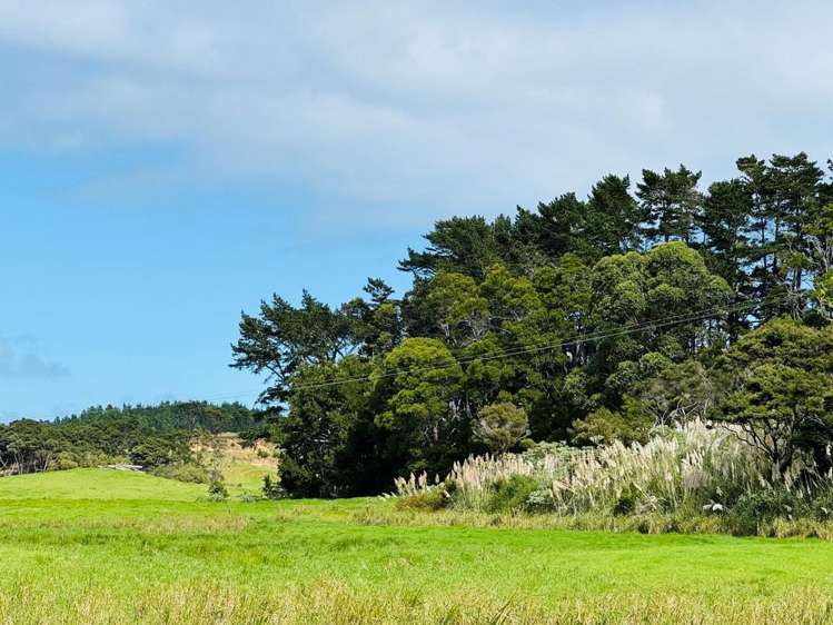 Lot 1/3233 State Highway 1 Pukenui_8