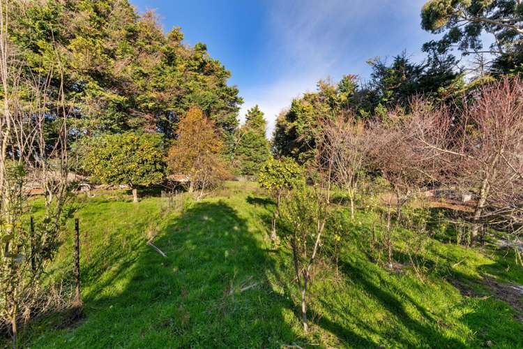 28 Bothams Bend Road Spring Creek_71