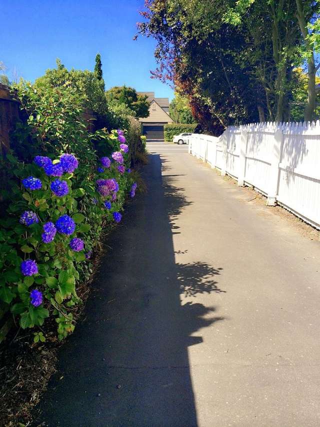 87 Memorial Avenue Ilam Christchurch City Houses for Rent One Roof