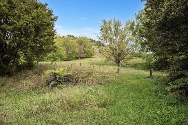 Kirikopuni Road Parakao_17