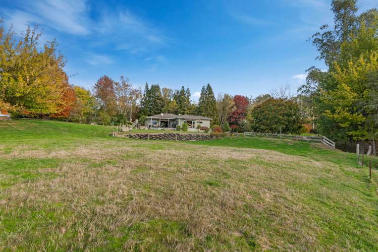 1561 Whirinaki Valley Road Ngakuru_24