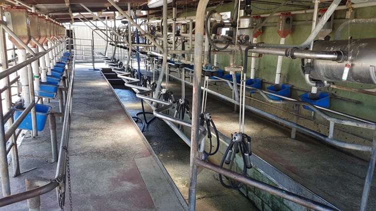 1318 Morrinsville-Tahuna Road Tahuna_12