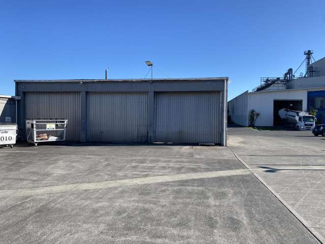 67 Thames Street Morrinsville_2