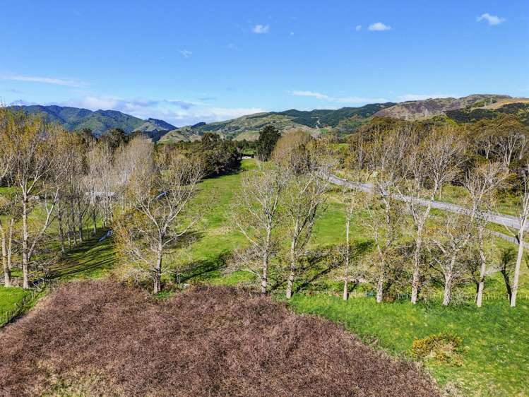 167 Otaihanga Road Otaihanga_14
