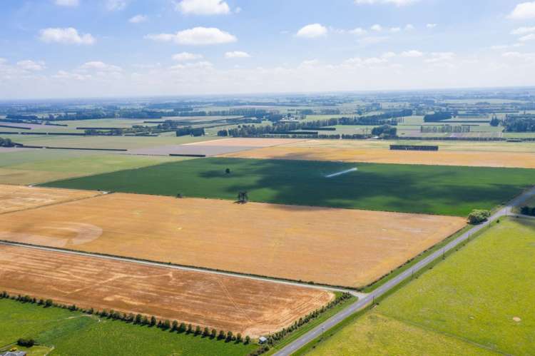 Selwyn Lake Road Leeston_1