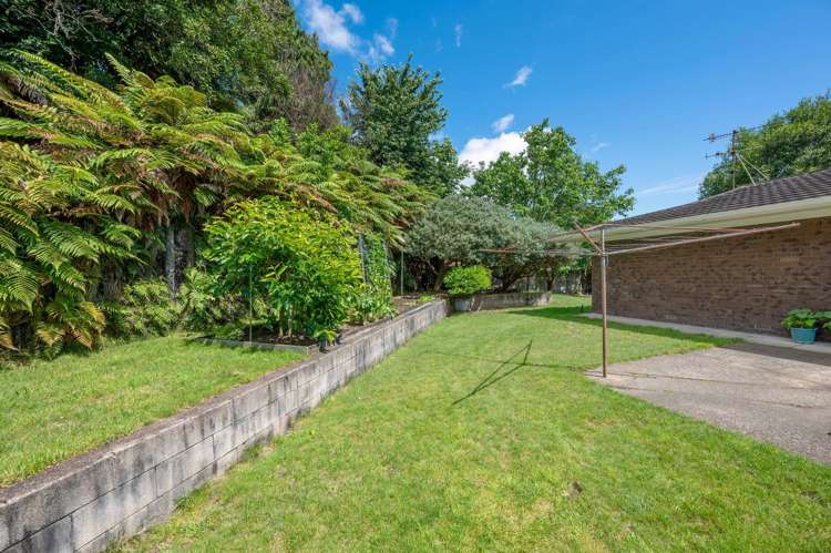 3 Tihi Road Springfield_15