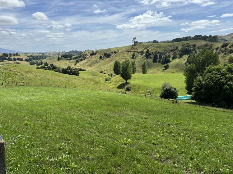 829 Honikiwi Road Otorohanga_35