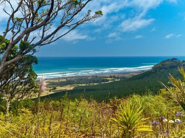 81 Oaia Road Muriwai_16