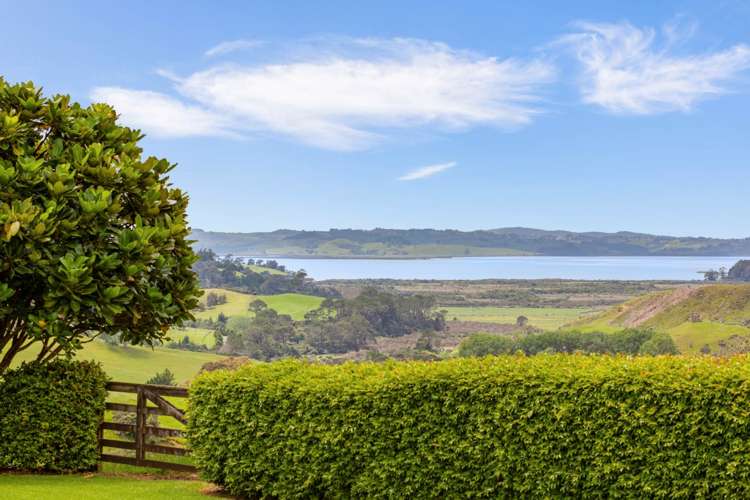 115 Wilson Road South Head_2