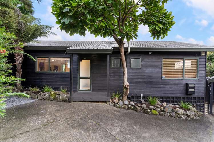 57B Herdman Street Waterview_16