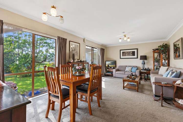 114b Sixteenth Avenue Tauranga South_2