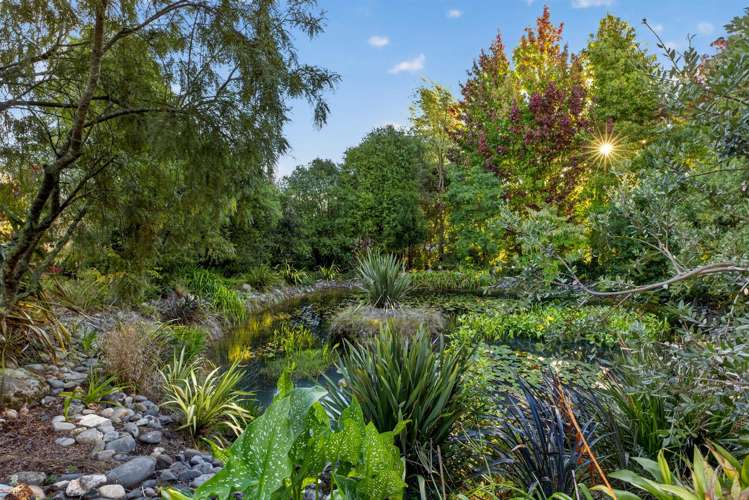 100 Dawson Road Mapua_12