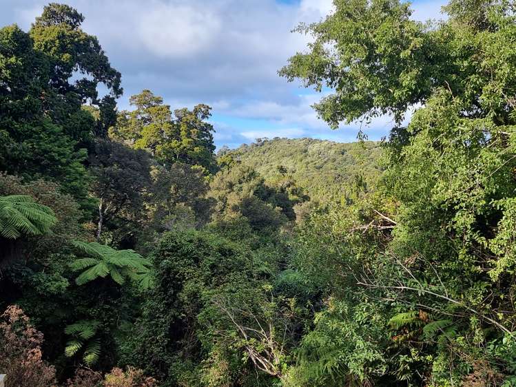 186 Horseshoe Bay Road Stewart Island/Rakiura_10