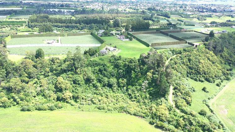 181b No 1 Road Te Puke_12