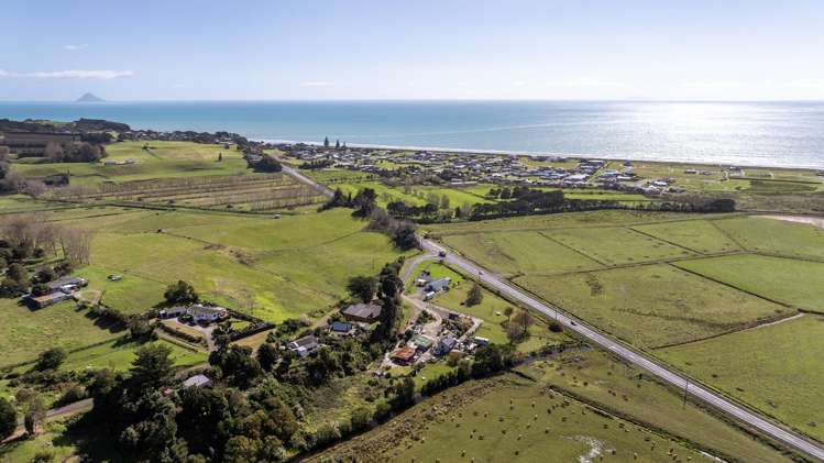 15 Dunlop Road Waiotahe_44
