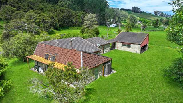 301 Neavesville Road Puriri_2