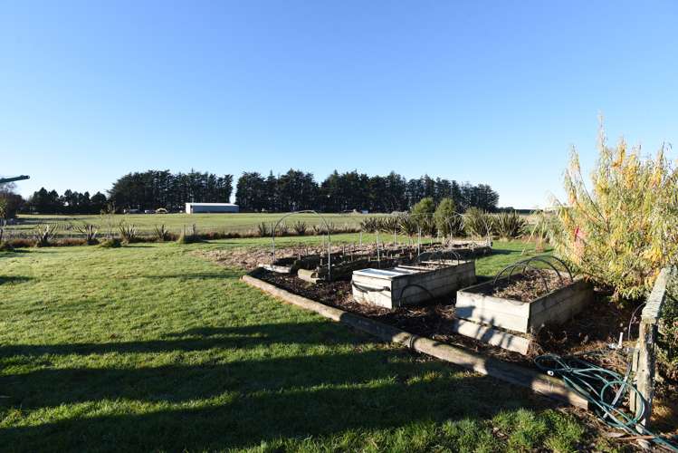 87 Gerrard Road Winton_15