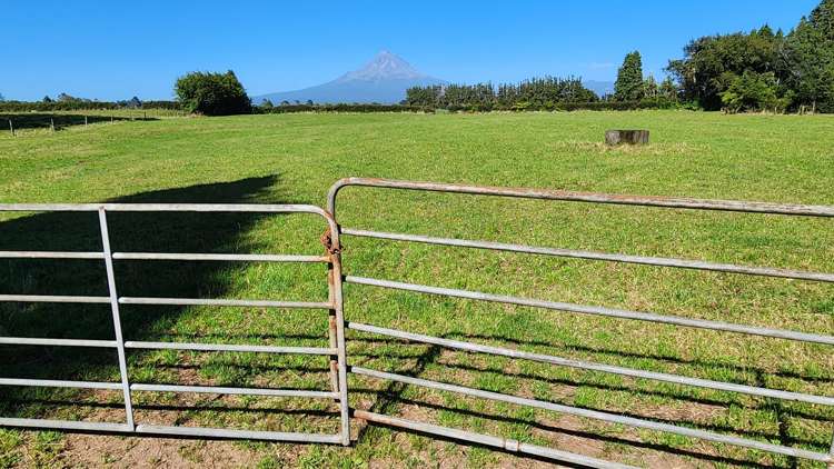 45 and 47 Windsor Road Inglewood_21