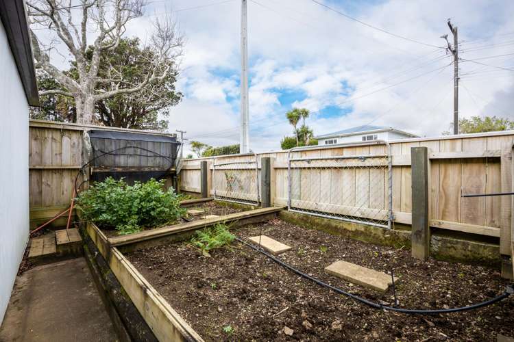 8 York Crescent Westown_9