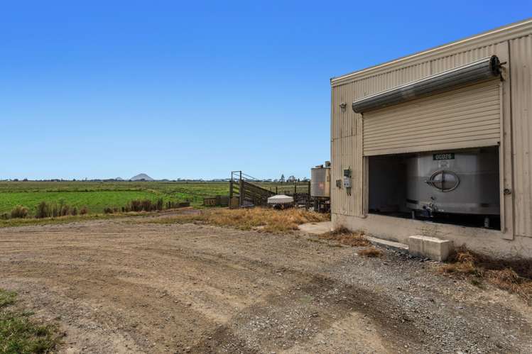 379B Powdrell Road Awakeri_14