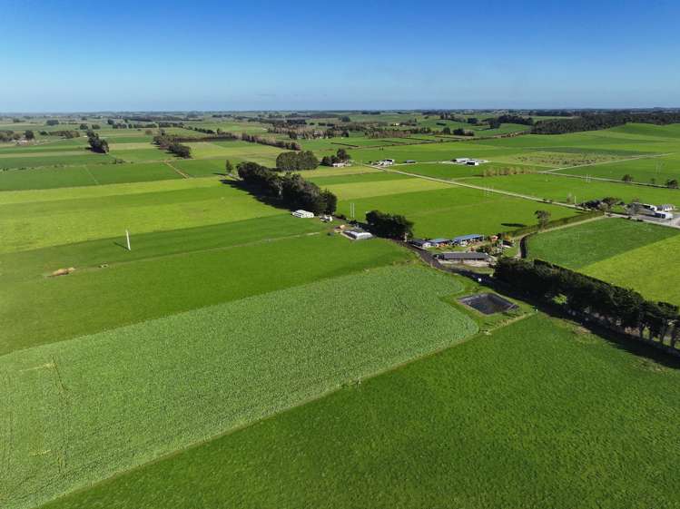 61 Donald Road Edendale_2