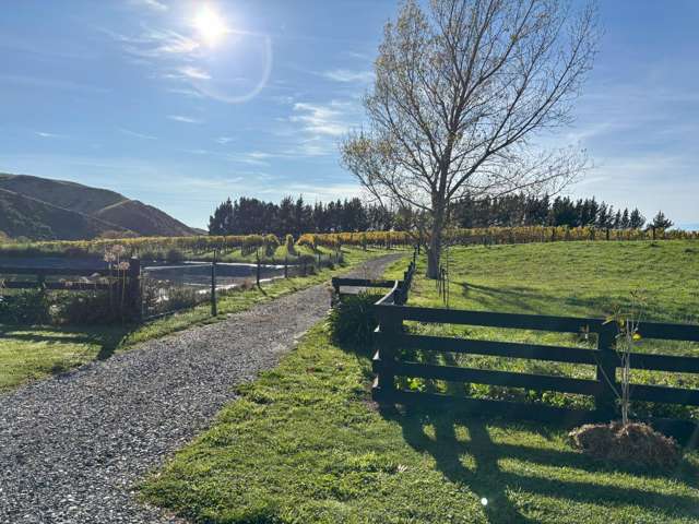 441 Blind River Loop Road 10737_4