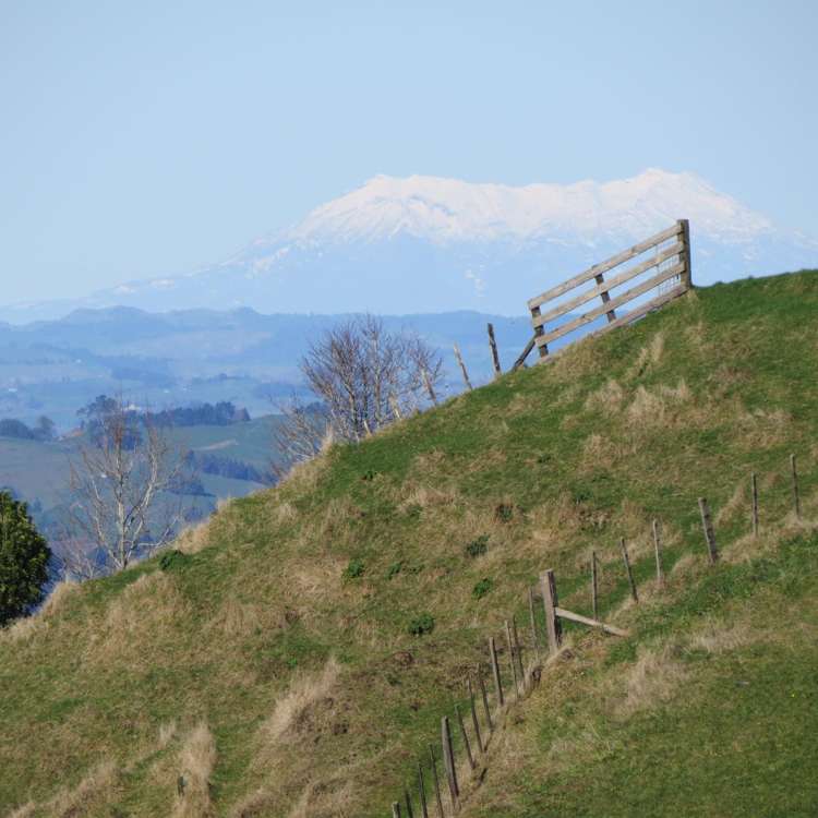 412 Pekanui Road Puketotara_45