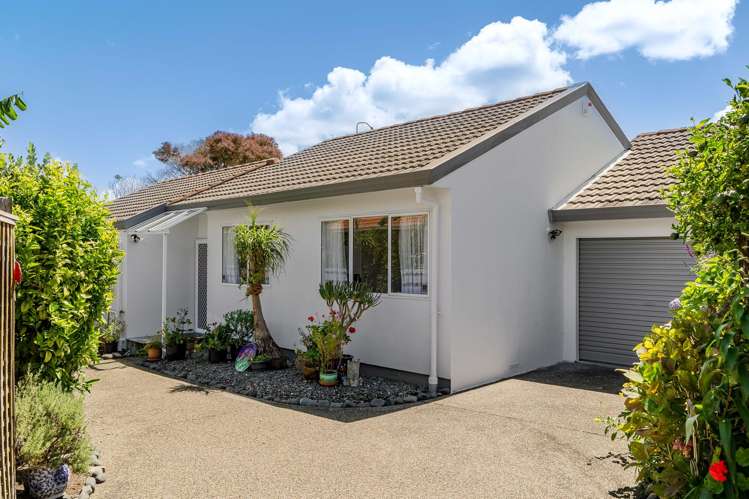 110B Forrest Hill Road Forrest Hill_0