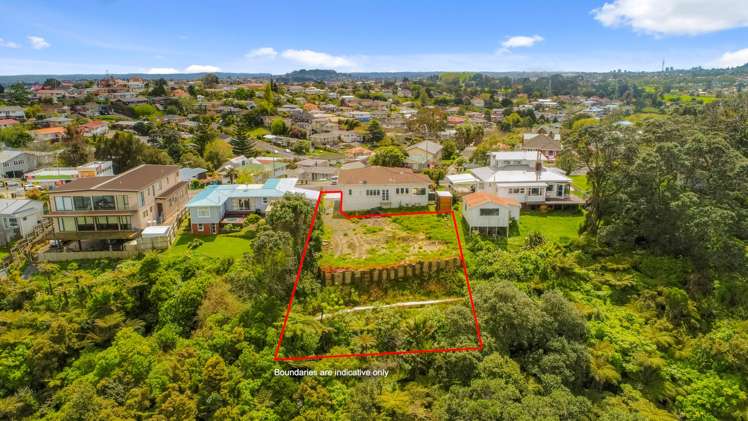 372a Hillsborough Road Hillsborough_2