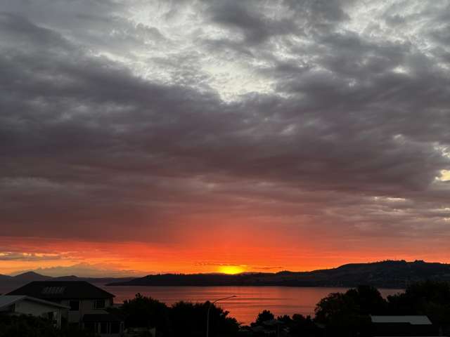 50 Birch Street Hilltop_4