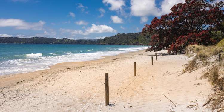 18 Victoria Road North Onetangi_27