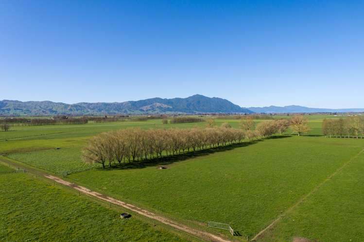 382 Tautiti Road Te Aroha_10