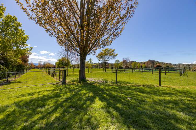 65 Wills Road Upper Moutere_16