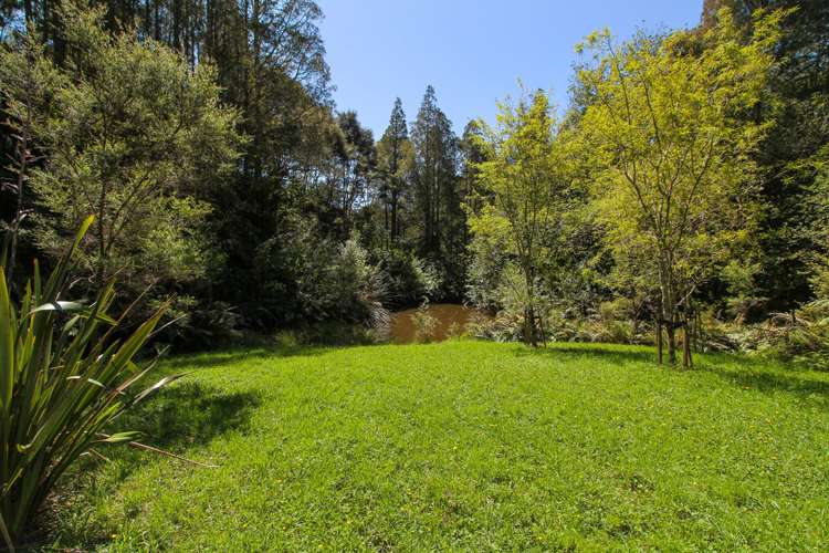 399 Horseshoe Bush Road Dairy Flat_21