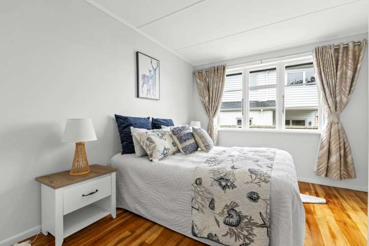 1/2 Esperanto Road Papatoetoe_5