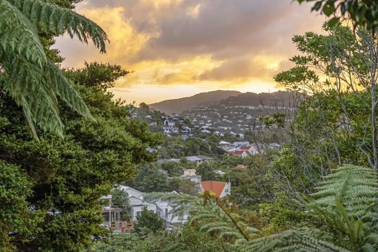 8 Amapur Drive Khandallah_14