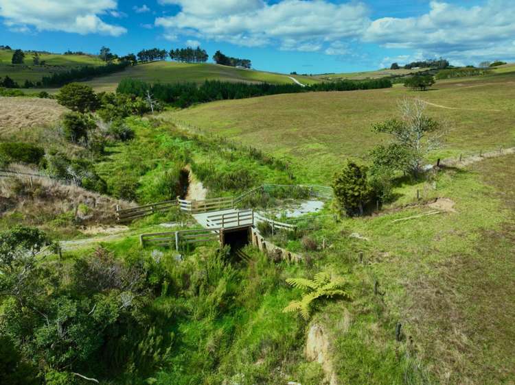 56 Lawrence Road Kaiwaka_10